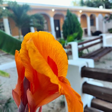 Villa Gabriela Celestun -Hotel & Restaurant Exterior photo