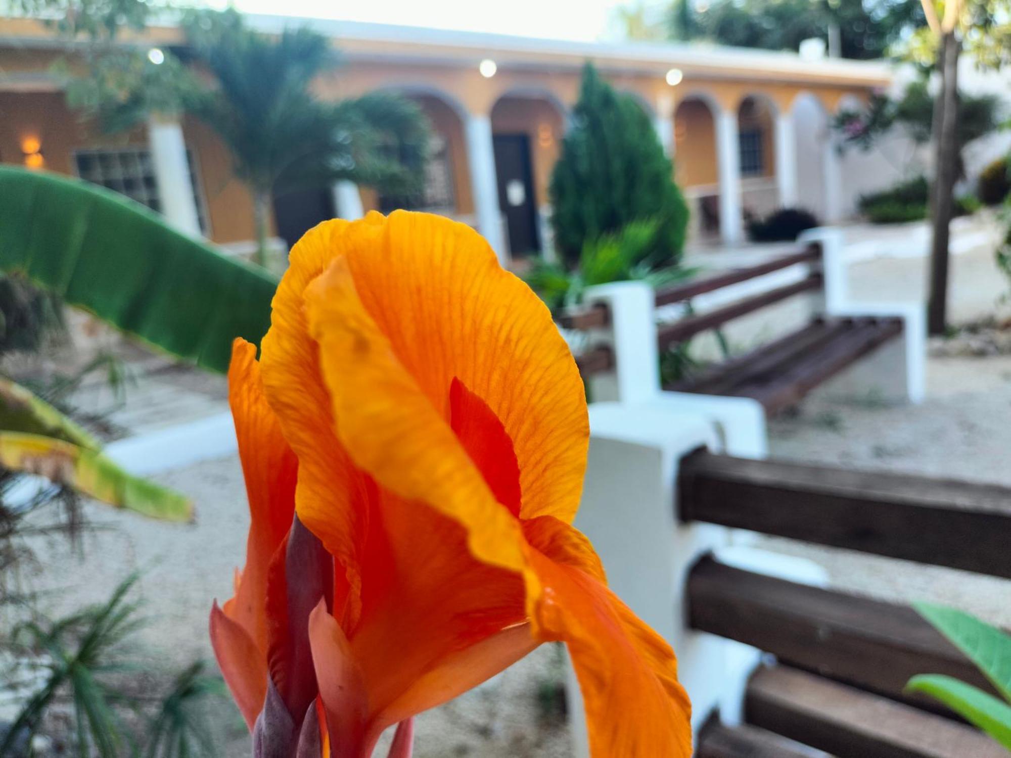 Villa Gabriela Celestun -Hotel & Restaurant Exterior photo